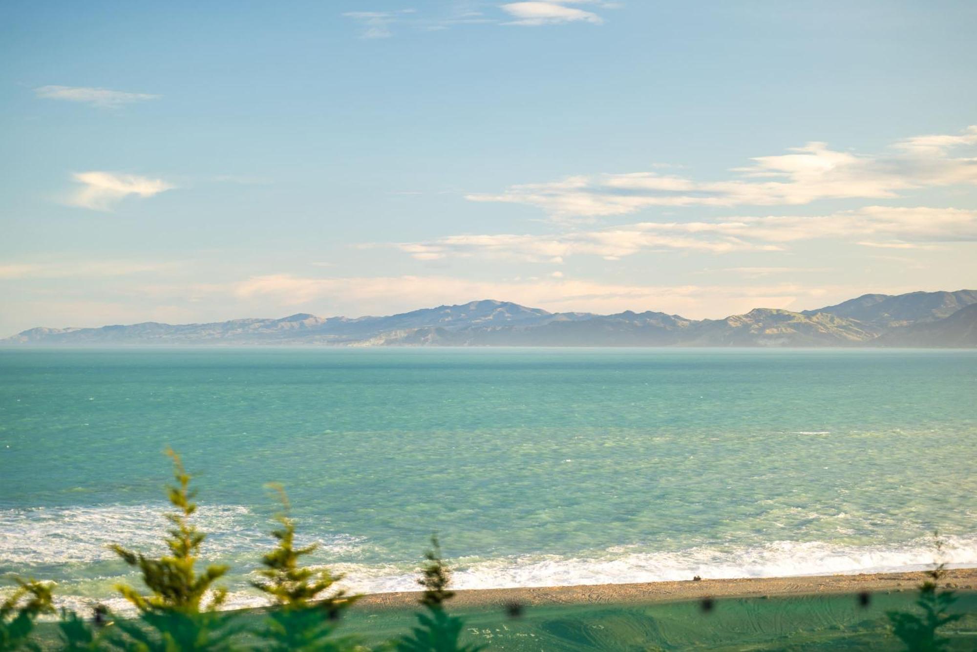 Ocean & Mountain Views - Kaikouraヴィラ エクステリア 写真
